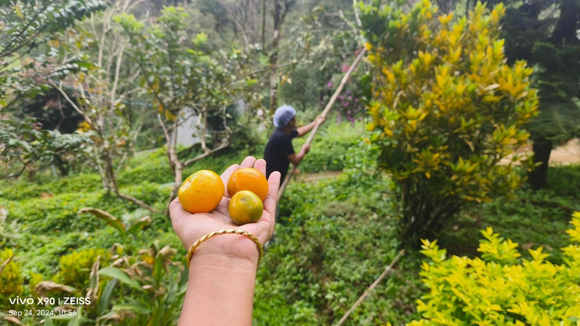 Forestscape Resort Munnar Bagian luar foto