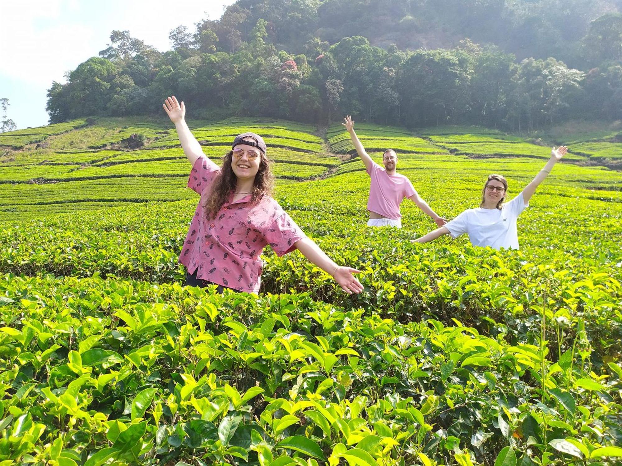 Forestscape Resort Munnar Bagian luar foto