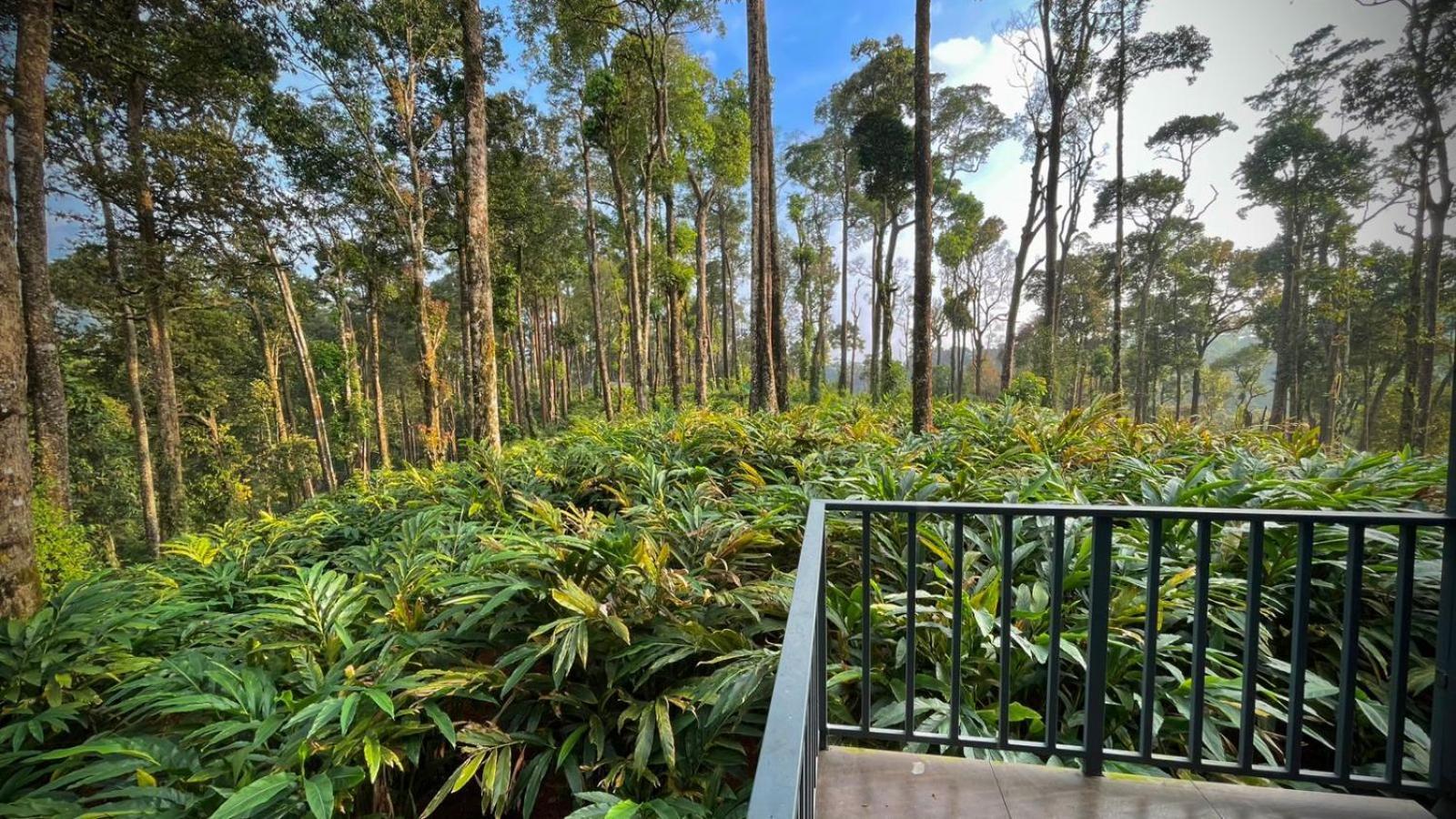 Forestscape Resort Munnar Bagian luar foto