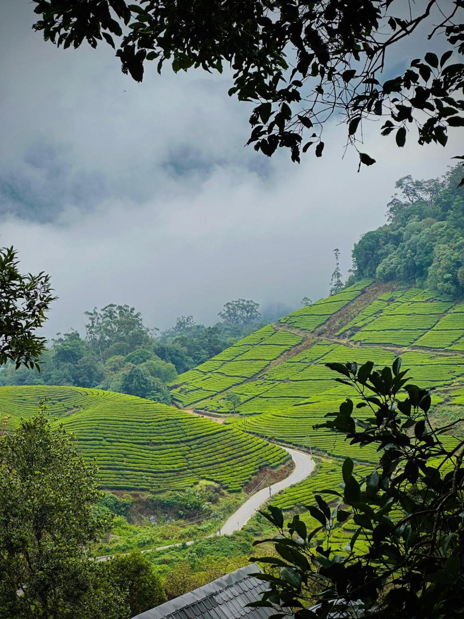 Forestscape Resort Munnar Bagian luar foto
