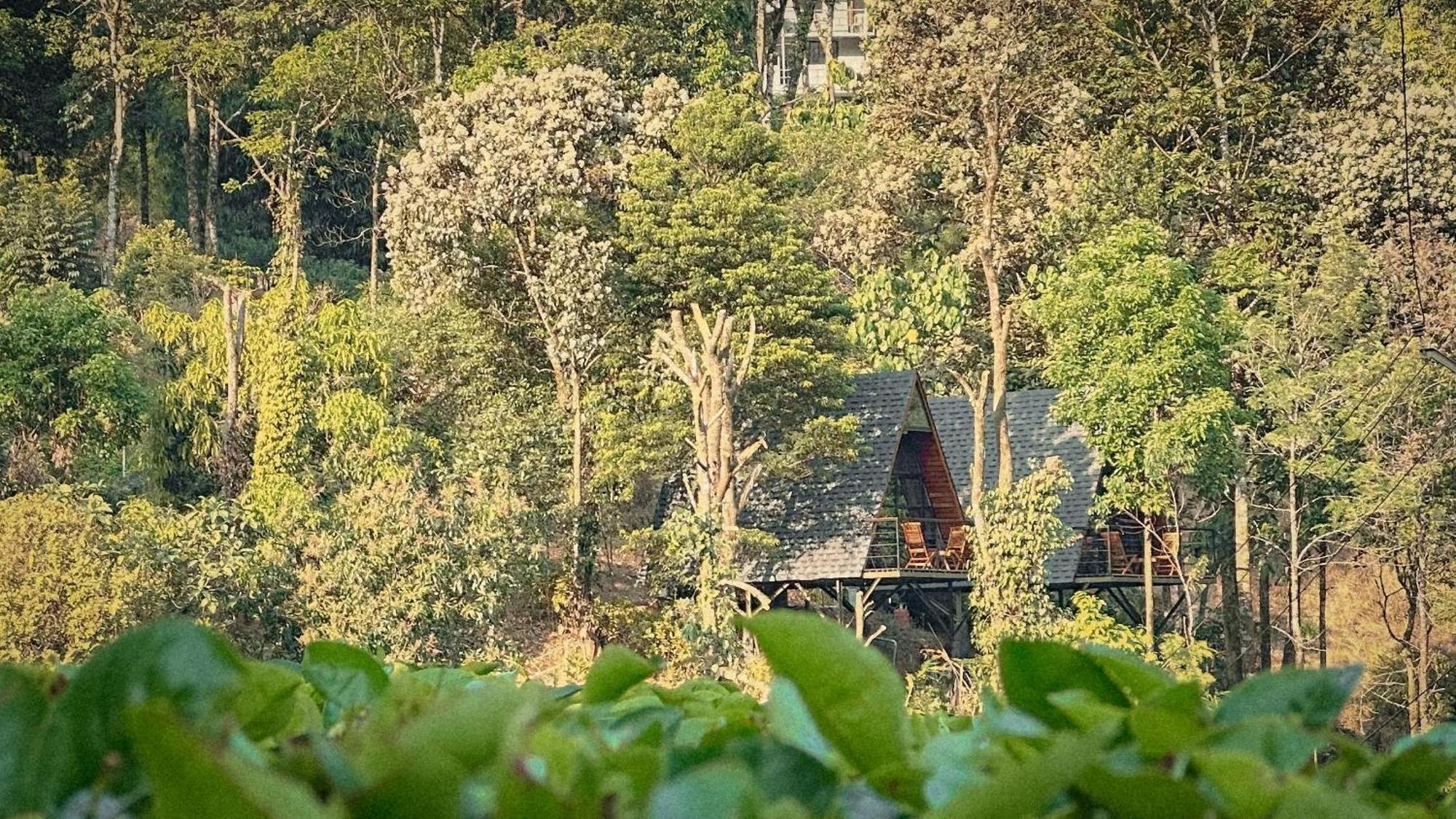 Forestscape Resort Munnar Bagian luar foto
