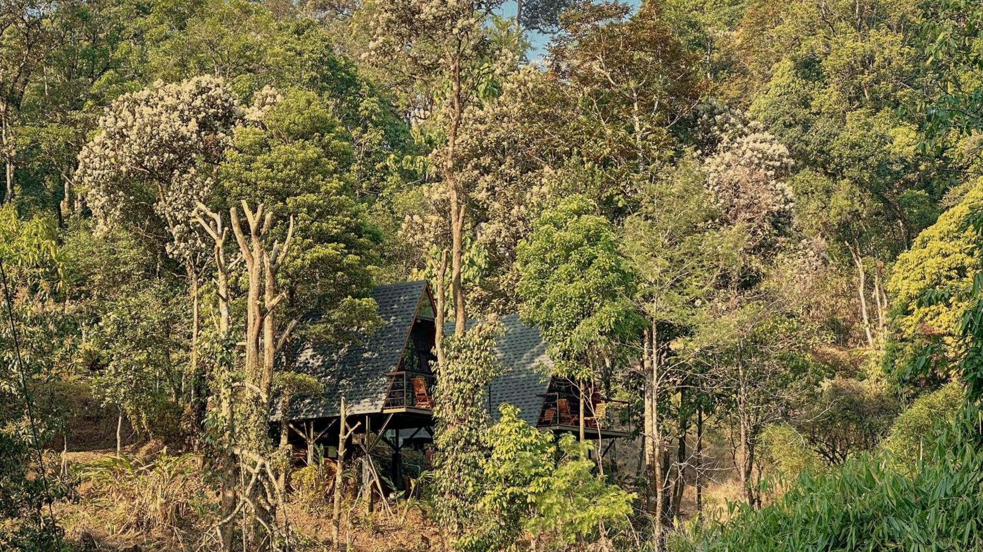 Forestscape Resort Munnar Bagian luar foto